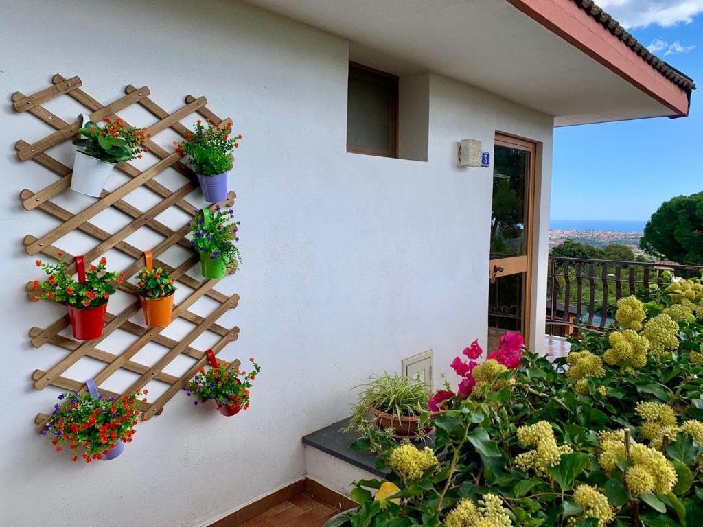 تريكاستانيي B&B Casa Di Antonio_Etna Vacanze المظهر الخارجي الصورة